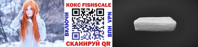 Купить закладки  Высоковск  COCAIN Fish Scale 