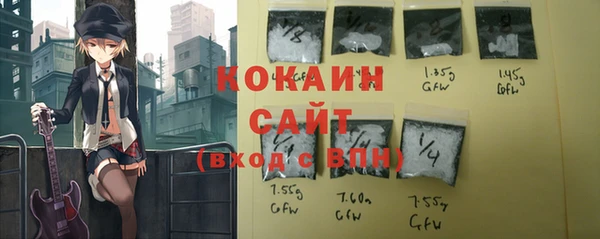 гашик Кодинск