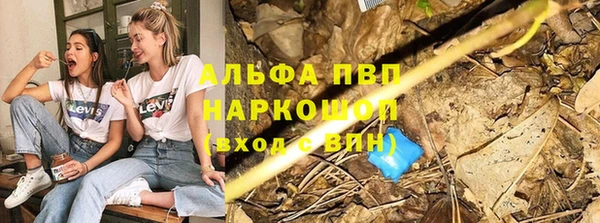 гашик Кодинск