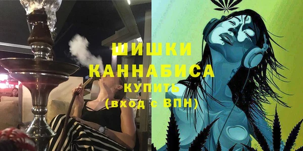 гашик Кодинск