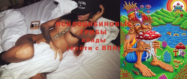 гашик Кодинск