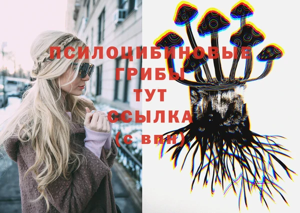 ГАЛЛЮЦИНОГЕННЫЕ ГРИБЫ Козельск