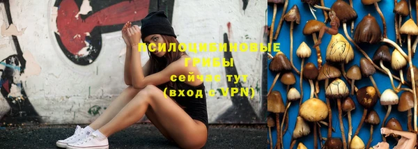 ГАЛЛЮЦИНОГЕННЫЕ ГРИБЫ Козельск