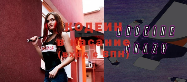 гашик Кодинск
