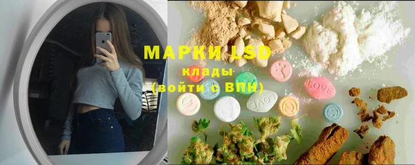 гашик Кодинск