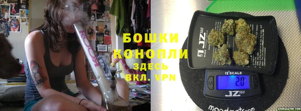 тгк Козловка