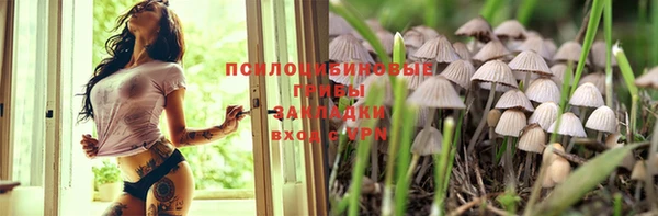 ГАЛЛЮЦИНОГЕННЫЕ ГРИБЫ Козельск