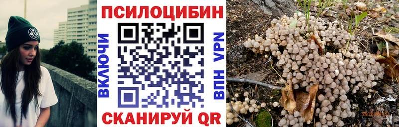 Купить  Высоковск  Псилоцибиновые грибы Cubensis 